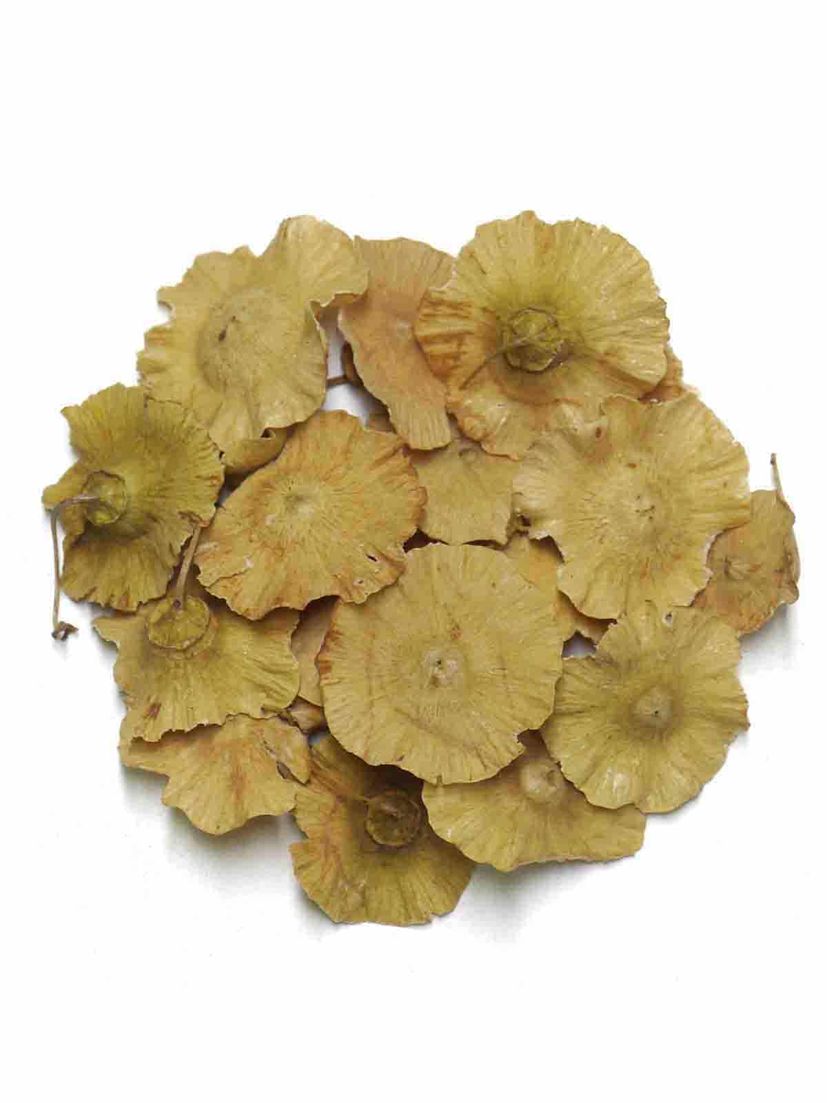Çarkı Felek-60gr