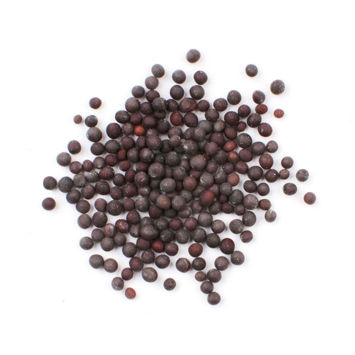 Siyah Hardal Tohumu-100gr