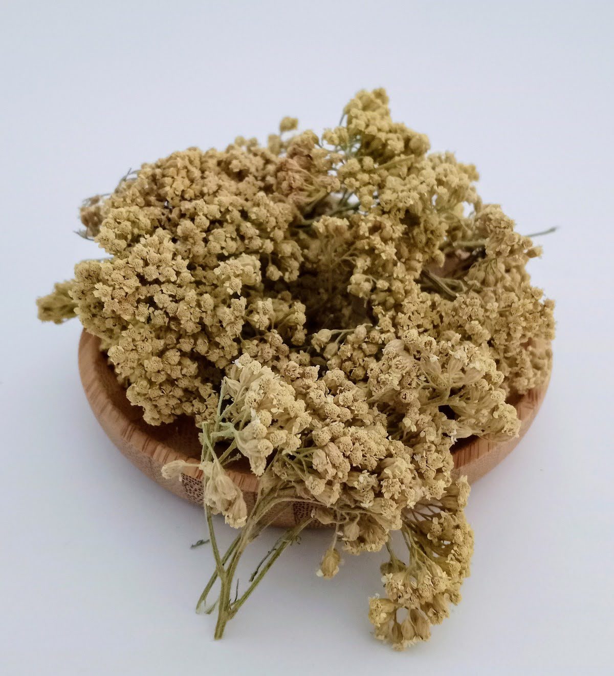 Civan Perçemi-25gr