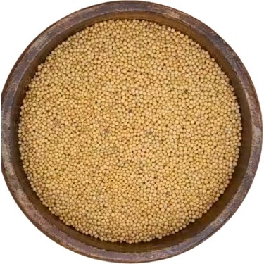 Sarı Hardal Tohumu-100gr